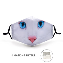 Load image into Gallery viewer, Fashion Reusable Protective Mask