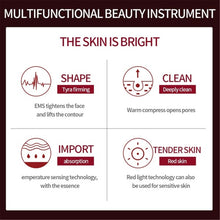 Load image into Gallery viewer, Face Skin EMS Mesotherapy Electroporation