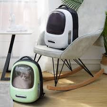 Load image into Gallery viewer, PETKIT Breezy Cat Carrier (Built-in fan and light)
