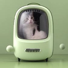 Load image into Gallery viewer, PETKIT Breezy Cat Carrier (Built-in fan and light)