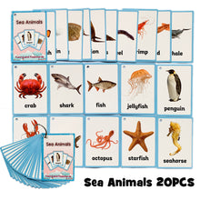 Load image into Gallery viewer, Baby English Learning Word Card