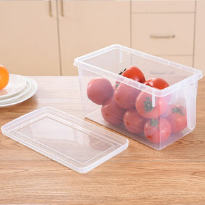 Kitchen Transparent PP Storage Box