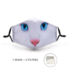 Load image into Gallery viewer, Fashion Reusable Protective Mask
