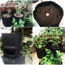 Load image into Gallery viewer, Plant Grow Bags -home garden
