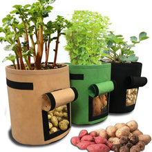 Load image into Gallery viewer, Plant Grow Bags -home garden
